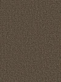 wDTW104368A400-P - Das Teppichwerk Teppichboden Getuftete...