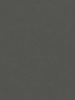 wDTW100486A400-P - Das Teppichwerk Teppichboden Getuftete...