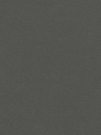 wDTW100486A400-P - Das Teppichwerk Teppichboden Getuftete...