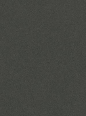 wDTW103232A400-P - Das Teppichwerk Teppichboden Getuftete...