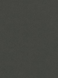 wDTW103232A400-P - Das Teppichwerk Teppichboden Getuftete...