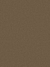 wDTW104061A400-P - Das Teppichwerk Teppichboden Getuftete...