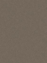 wDTW100198A400-P - Das Teppichwerk Teppichboden...