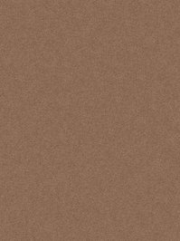wDTW103997A400-P - Das Teppichwerk Teppichboden...
