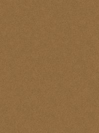 wDTW103998A400-P - Das Teppichwerk Teppichboden...