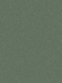 wDTW104001A400-P - Das Teppichwerk Teppichboden...