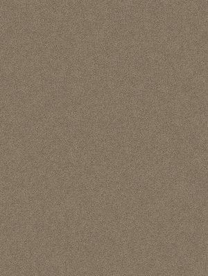 wDTW104009A400-P - Das Teppichwerk Teppichboden...