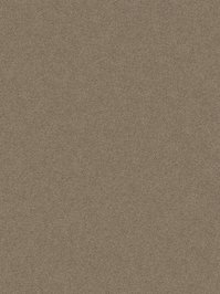 wDTW104009A400-P - Das Teppichwerk Teppichboden...