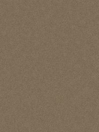 wDTW104010A400-P - Das Teppichwerk Teppichboden...