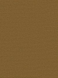 wDTW104261A400-P - Das Teppichwerk Teppichboden Getuftete...