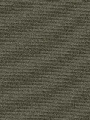 wDTW104266A400-P - Das Teppichwerk Teppichboden Getuftete...