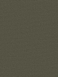 wDTW104266A400-P - Das Teppichwerk Teppichboden Getuftete...