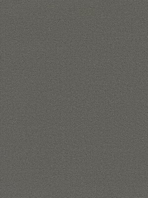 wDTW104267A400-P - Das Teppichwerk Teppichboden Getuftete...