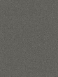 wDTW104267A400-P - Das Teppichwerk Teppichboden Getuftete...