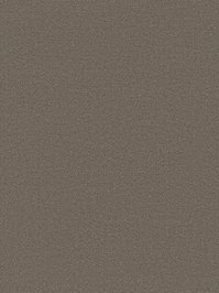 wDTW104270A400-P - Das Teppichwerk Teppichboden Getuftete...