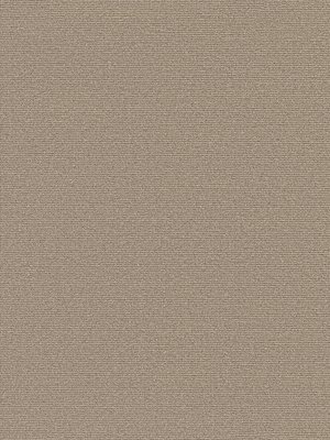 wDTW104272A400-P - Das Teppichwerk Teppichboden Getuftete...