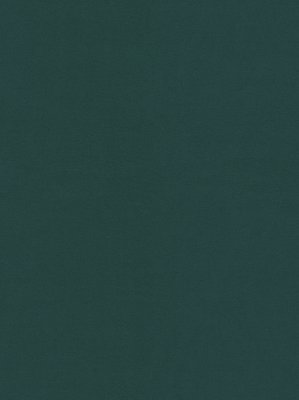wDTW104095A400-P - Das Teppichwerk Teppichboden...