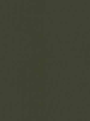 wDTW104102A400-P - Das Teppichwerk Teppichboden...