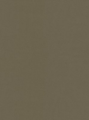 wDTW104104A400-P - Das Teppichwerk Teppichboden...