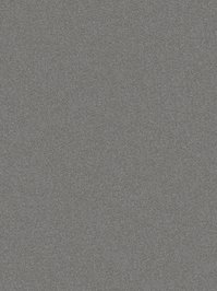 wDTW100277A400-P - Das Teppichwerk Teppichboden...