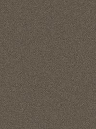 wDTW104055A400-P - Das Teppichwerk Teppichboden...
