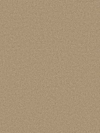 wDTW104057A400-P - Das Teppichwerk Teppichboden...