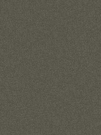 wDTW104050A400-P - Das Teppichwerk Teppichboden...