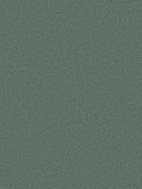 wDTW104051A400-P - Das Teppichwerk Teppichboden...