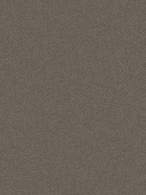 wDTW104053A400-P - Das Teppichwerk Teppichboden...