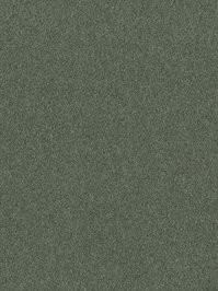 wDTW104374A400-P - Das Teppichwerk Teppichboden Getuftete...