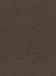 wDTW104375A400-P - Das Teppichwerk Teppichboden Getuftete...