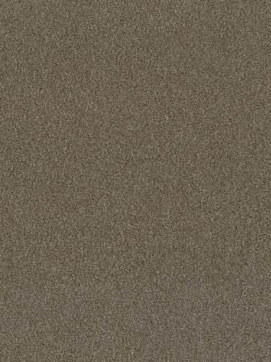 wDTW104376A400-P - Das Teppichwerk Teppichboden Getuftete...