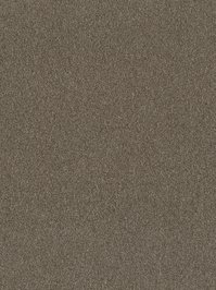 wDTW104376A400-P - Das Teppichwerk Teppichboden Getuftete...
