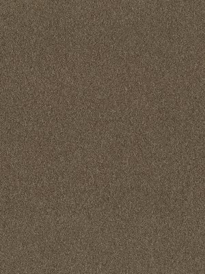 wDTW104377A400-P - Das Teppichwerk Teppichboden Getuftete...