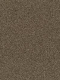 wDTW104377A400-P - Das Teppichwerk Teppichboden Getuftete...