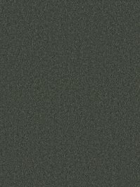 wDTW104275A400-P - Das Teppichwerk Teppichboden Getuftete...