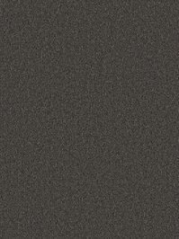 wDTW104276A400-P - Das Teppichwerk Teppichboden Getuftete...