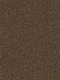 wDTW104279A400-P - Das Teppichwerk Teppichboden Getuftete...