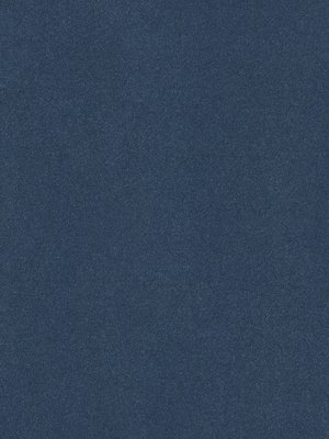 wDTW100358A400-P - Das Teppichwerk Teppichboden...