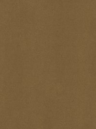 wDTW104118A400-P - Das Teppichwerk Teppichboden...