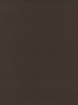 wDTW101580A400-P - Das Teppichwerk Teppichboden...