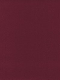 wDTW101498A400-P - Das Teppichwerk Teppichboden...