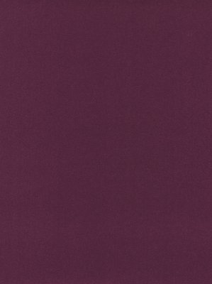wDTW101499A400-P - Das Teppichwerk Teppichboden...