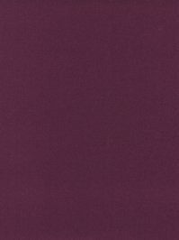wDTW101499A400-P - Das Teppichwerk Teppichboden...