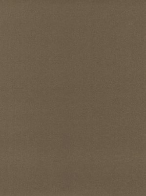wDTW101510A400-P - Das Teppichwerk Teppichboden...