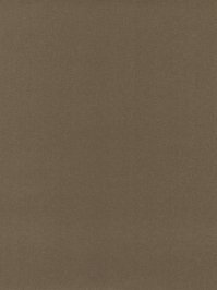 wDTW101510A400-P - Das Teppichwerk Teppichboden...