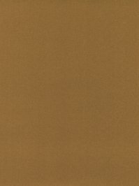 wDTW101501A400-P - Das Teppichwerk Teppichboden...