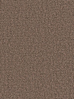 m-wDTW104358A400-P - Das Teppichwerk Teppichboden...