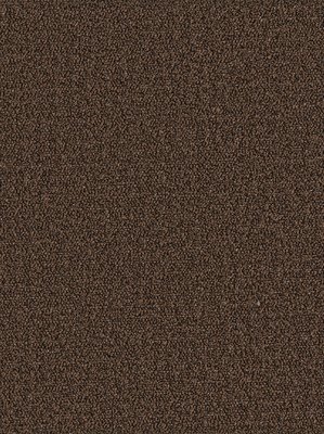 m-wDTW104365A400-P - Das Teppichwerk Teppichboden...