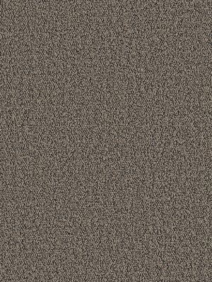 m-wDTW104366A400-P - Das Teppichwerk Teppichboden...